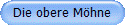 Die obere M�hne